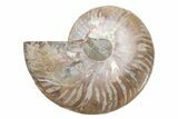 Cut & Polished Ammonite Fossil (Half) - Madagascar #223178-1
